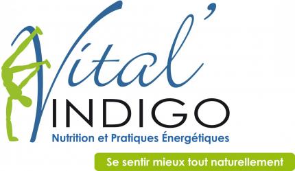 Vital indigo logo